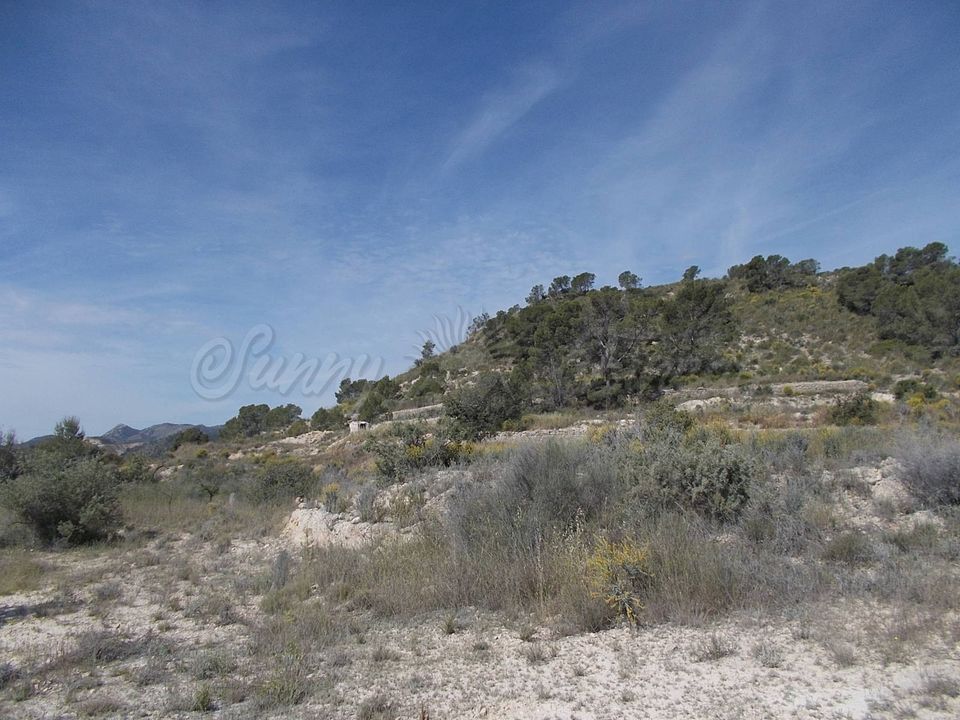 Cave house i Abanilla, Murcia - foto 4